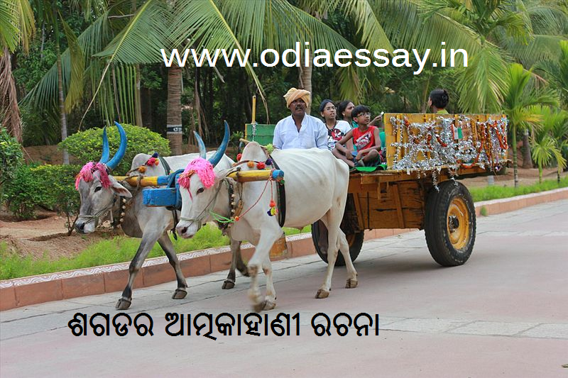 Sagada experience essay picture