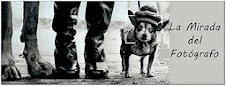 La mirada del fotógrafo