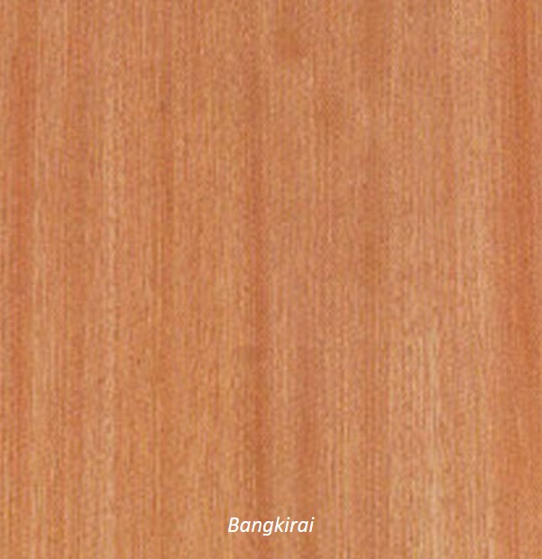 Kayu Bangkirai (Shorea Lavefolia Endent)