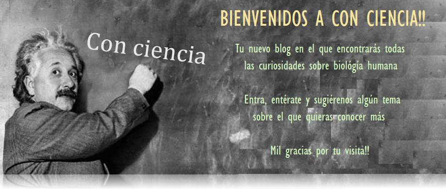 Con-Ciencia