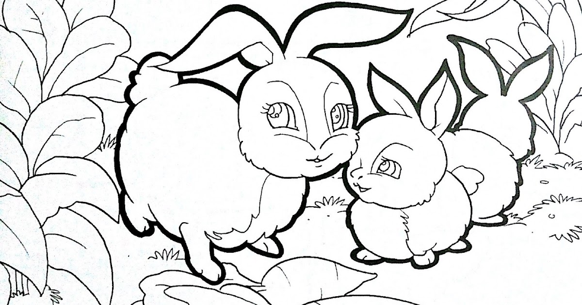 buku gambar mewarnai hewan pdf 