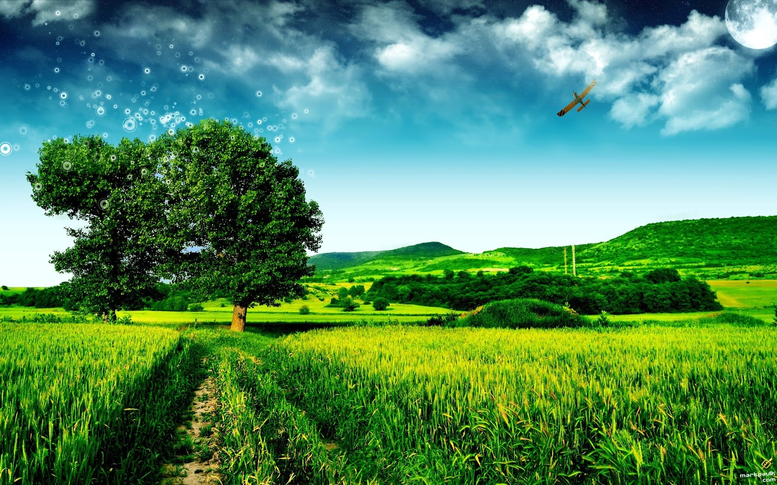 HD Wallpaper Geek Realtree Wallpaper