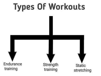 What is a workout? How many types of workouts are there? What is the difference between exercise and workout?