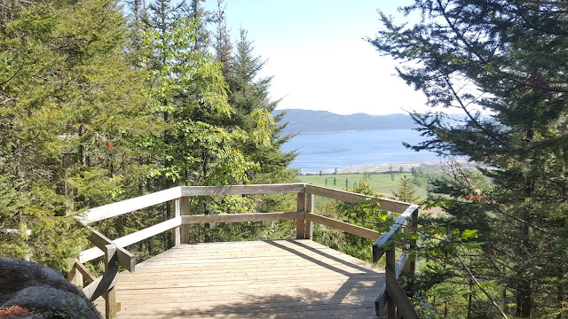 Vue à partir du belvedère de la chute à la Montagne Blanche
