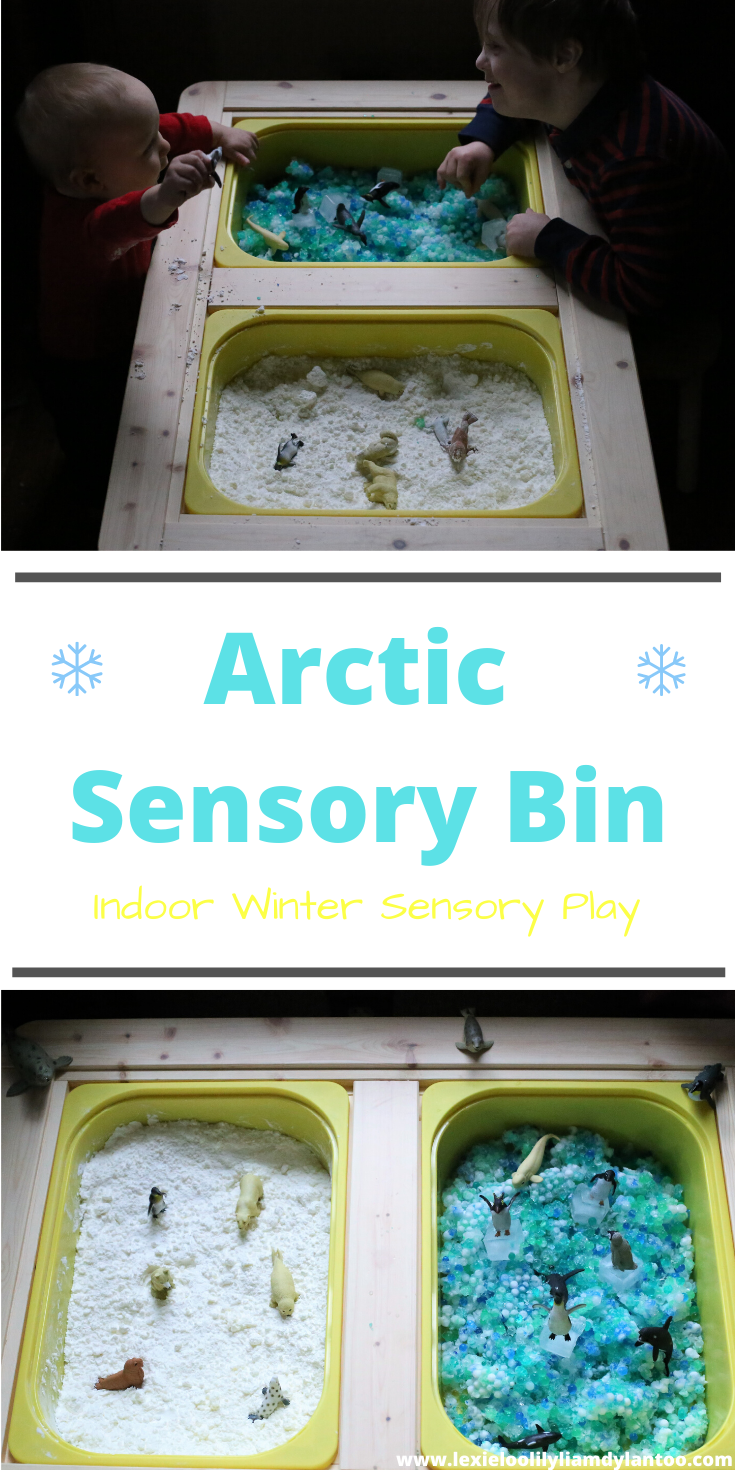 Winter arctic sensory bin