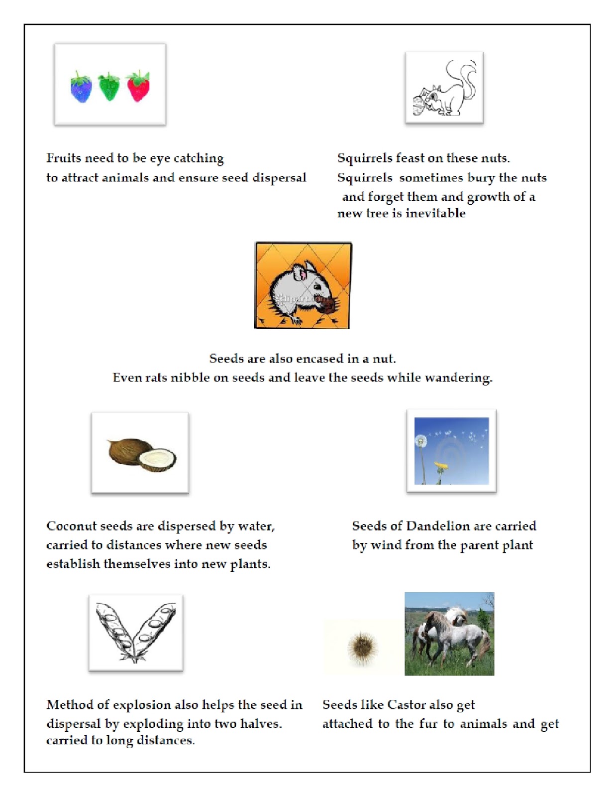 Holiday homework for class 5 computer picture