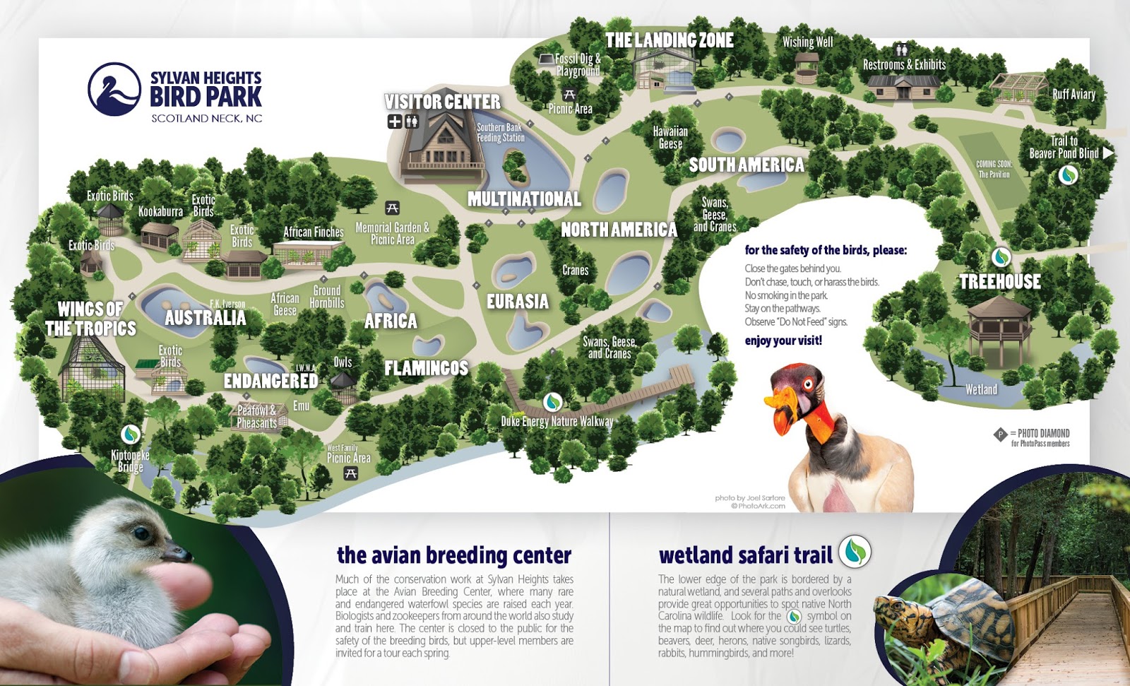 Sylvan Heights Bird Park in Scotland Neck North Carolina