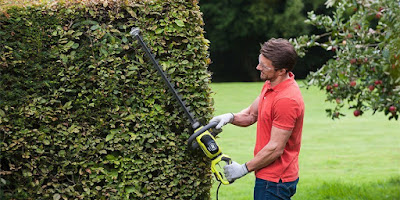 Choose The Best Hedge Trimmer