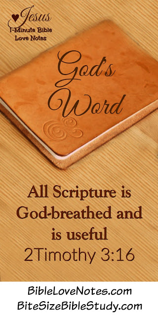 2 Timothy 3:16-17, Hebrews 4:12, God's Word
