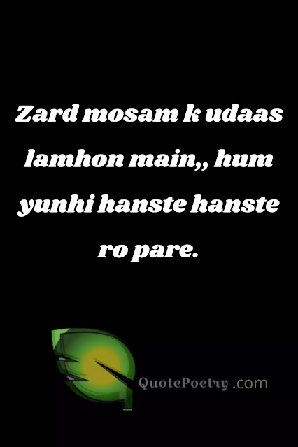 One Line Quotes in Urdu