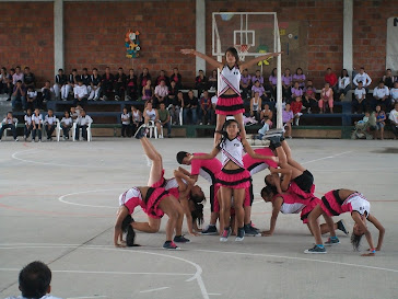 REVISTA GIMNASTICA