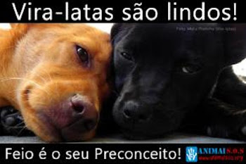 Ame os animais!