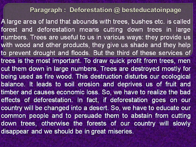 Paragraph :  Deforestation @ besteducatoinpage