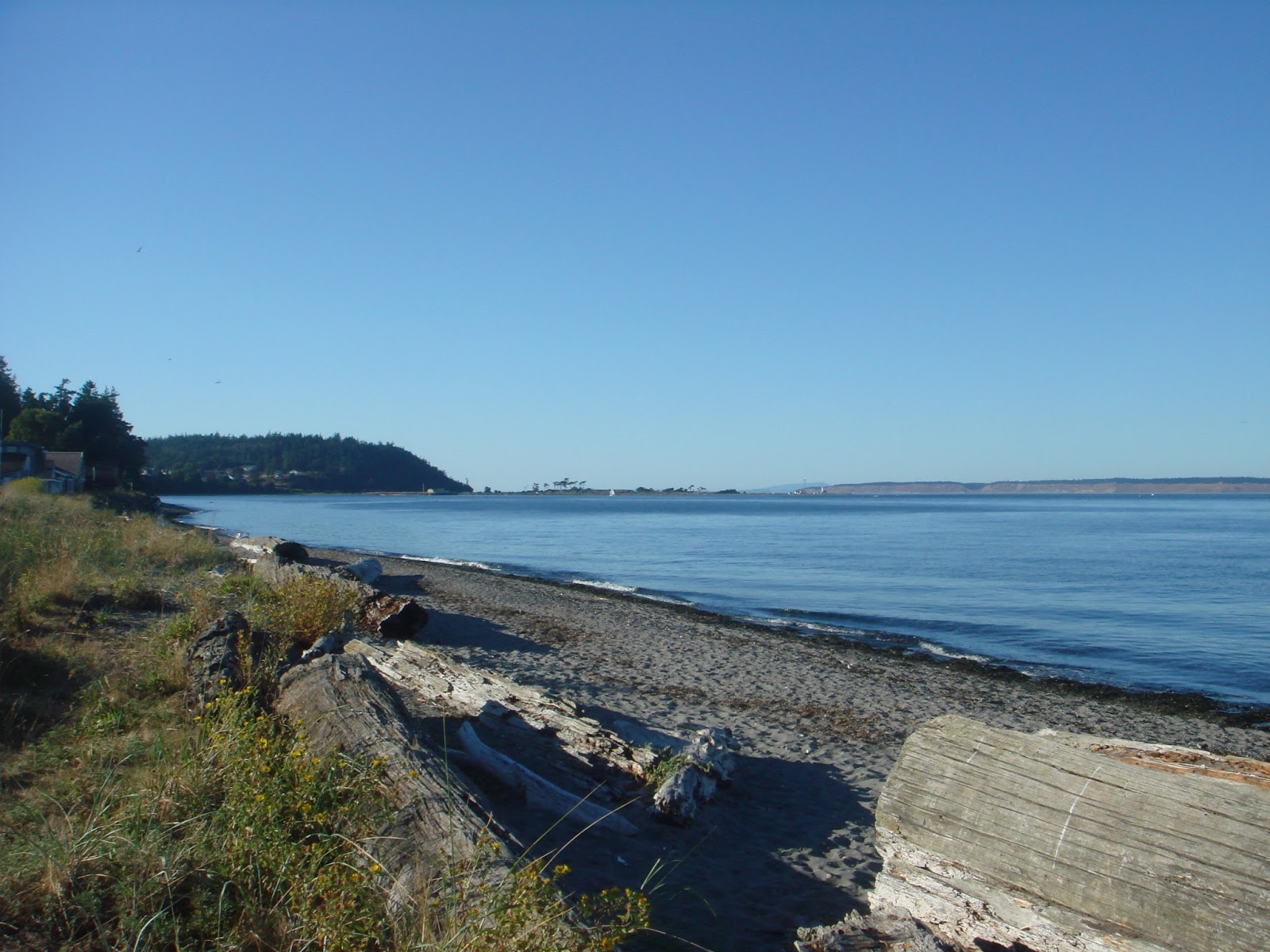 Crystal Cox Media Crystal L. Cox Investigative Blogger Port Townsend