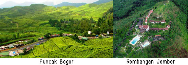 Puncak Bogor dan Rembangan