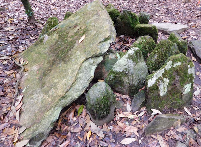Funerary circular dolmen inside the Mawphlang Sacred Forest, Meghalaya