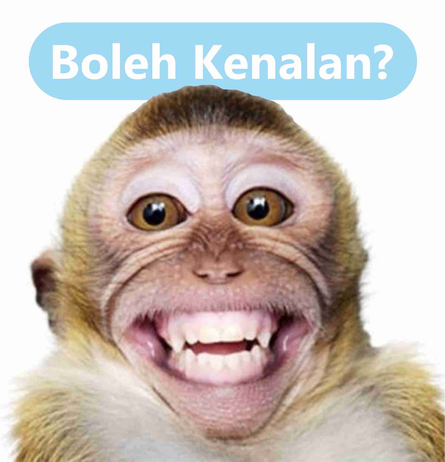 √ Kumpulan Meme Lucu Banget Buat Komen Facebook - Gambar Lucu Terbaru