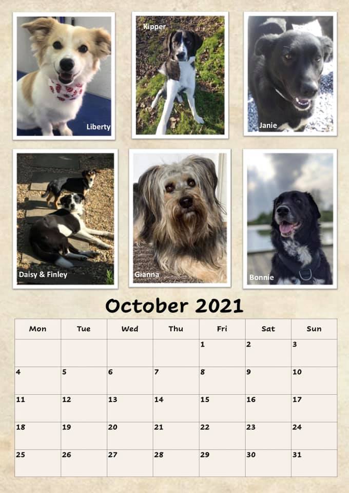 Compassion For Greek Paws C4gp Calendar 2022