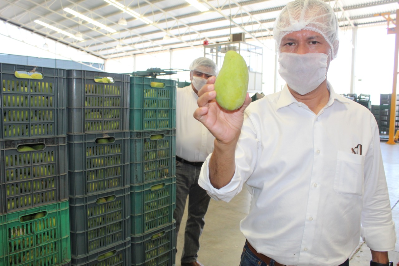 Produce Michoacán más de 9.5 millones de toneladas de frutos RED113