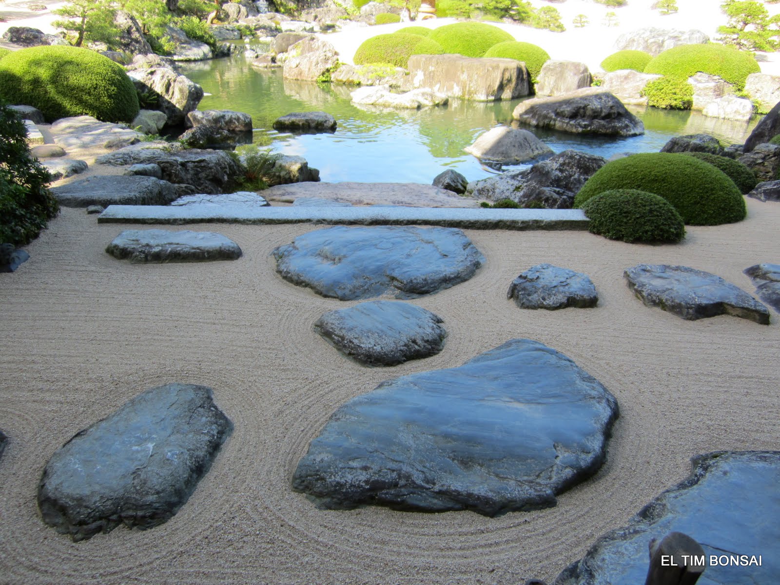 El Tim Bonsai: 15/01/12 - 22/01/12