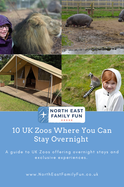 10 UK Zoos Where You Can Stay Overnight