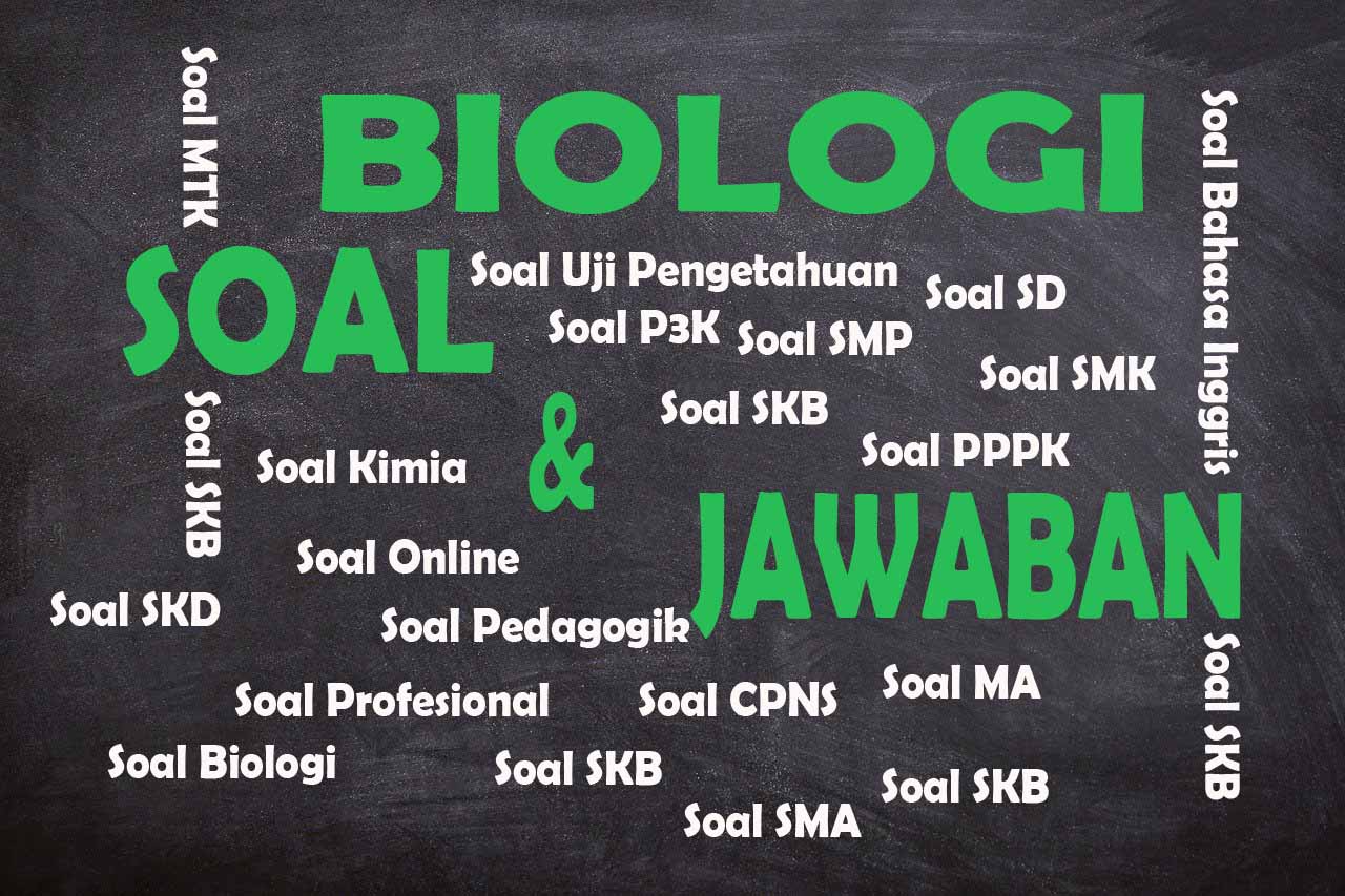 Contoh Soal Tes Skb P3k Guru Biologi Tahun 2021 Soal1
