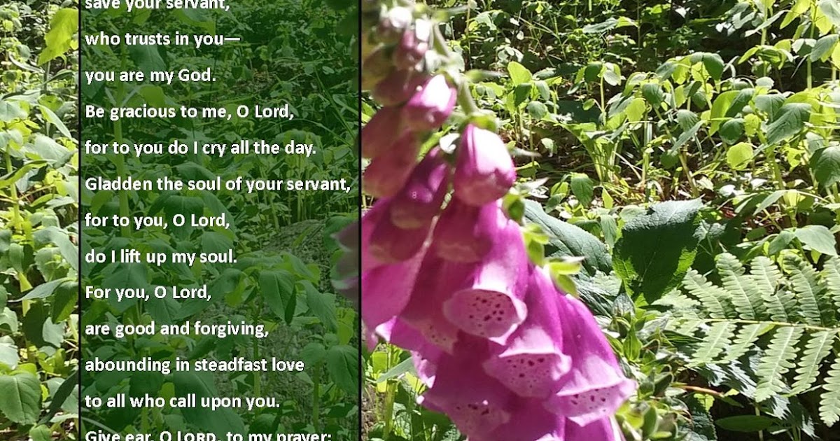 Scarlet Robe Scripture Verses Psalm 86 1 7 scarlet-robe-scripture-verses-psalm-86-1-7