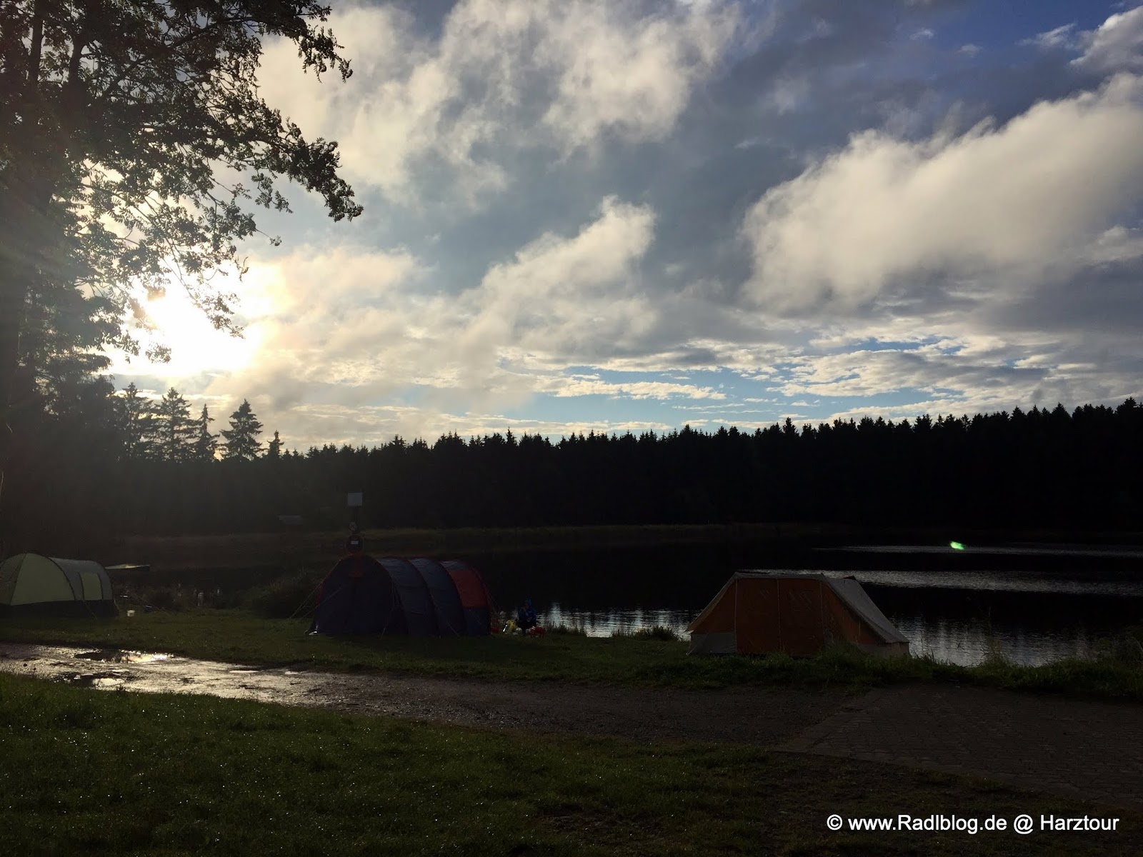 Harz Mit Der Schmalspurbahn Von Wernigerode Auf Den Brocken
