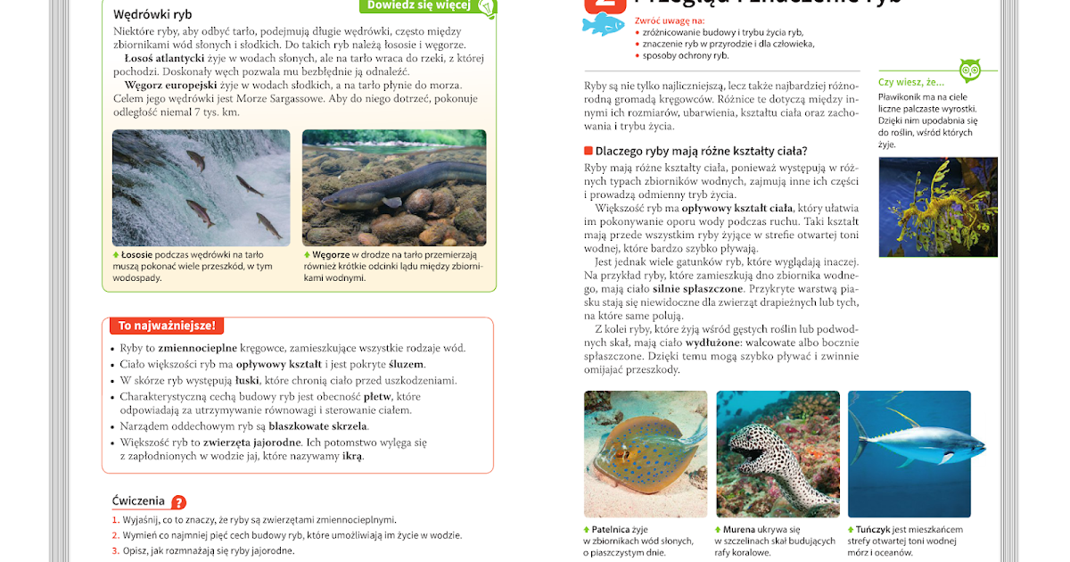 Podaj Dwa Przykłady Sposobów Ochrony Ryb KOŁO BIOLOGICZNE: Systematyka ryb- lekcja dla klasy 6C