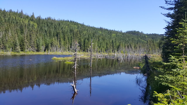 Vue à partir du sentier Le Scotora en direction du mont Andante