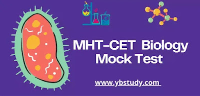 MHT-CET Biology Mock Test