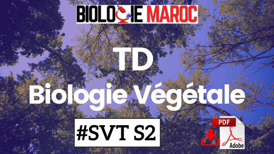 TD Exercices de Biologie Végétale SVT Semestre 2 S2 PDF à Télécharger TD Exercices de Biologie Végétale SVT Semestre 2 S2 PDF à Télécharger