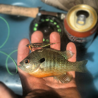 Pat Kellner, Texas Freshwater Fly Fishing, TFFF, Fly Fishing Texas, Texas Fly Fishing, Lone Guad Hunter, Guadalupe Bass, South Llano River, Llano River, Fishing the Llano River, Fishing Junction Texas, Fishing South Llano State Park