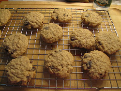 Oatmeal Raisin Cookies - Page 231