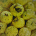 Biskut Kelapa Berkismis Sukatan Cawan