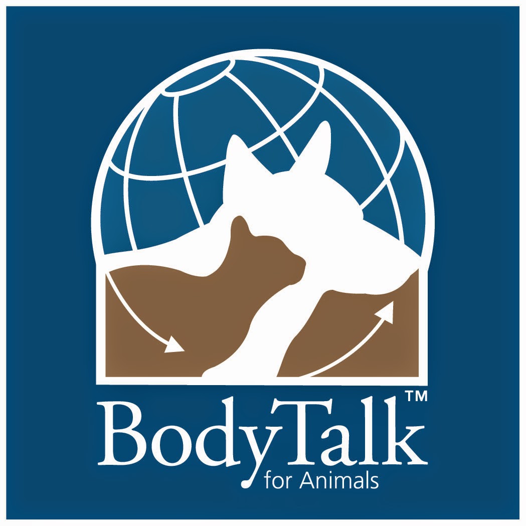 BodyTalk  Animals