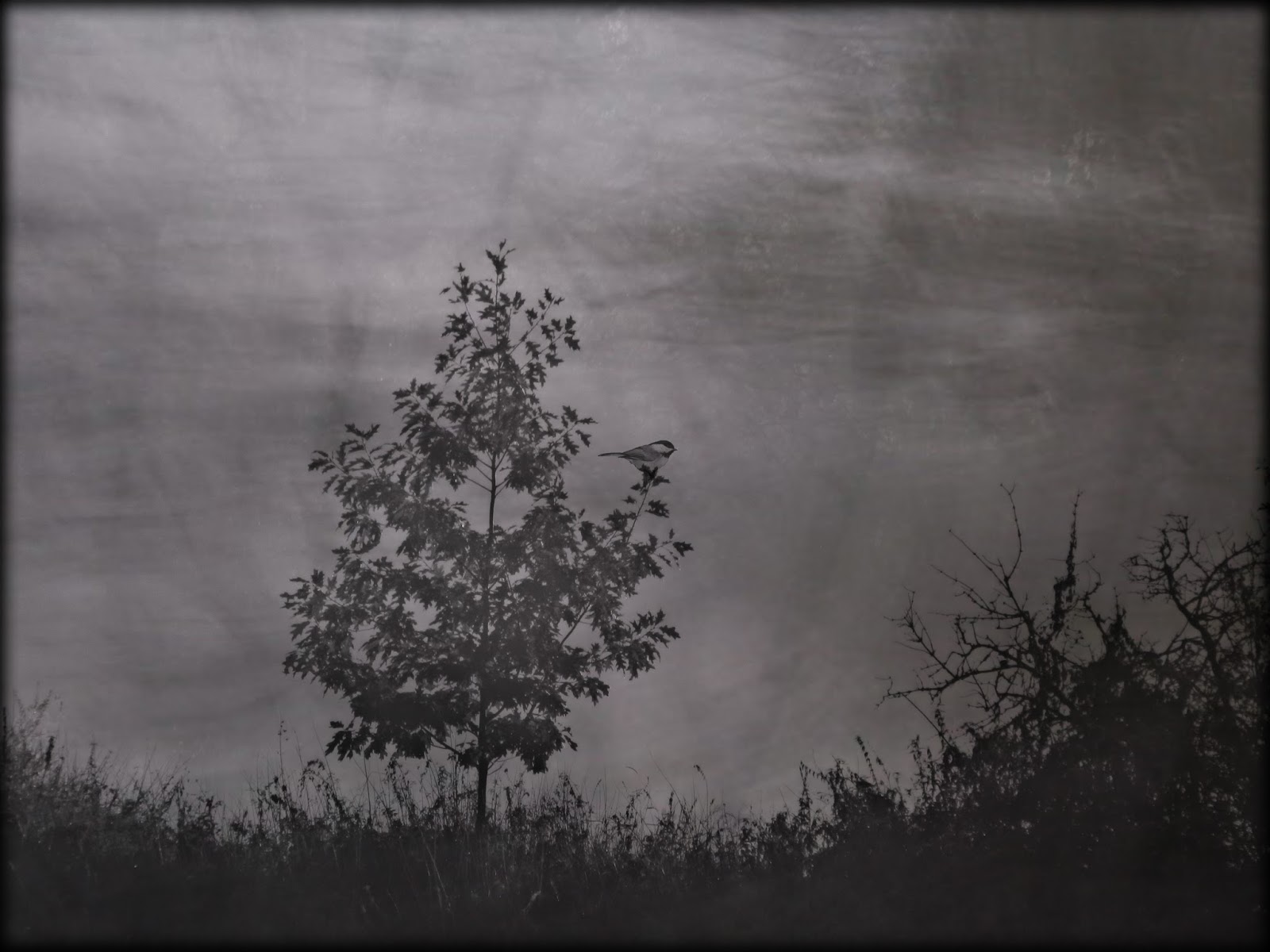 Gedichte Unter Der Laterne November 2015