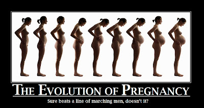 Evolution of Pregnancy