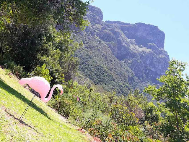 Kirstenbosch Botanical Garden