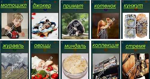 ответы на 31 уровень 600 слов маленький котенок на руках ответы на 31 уровень