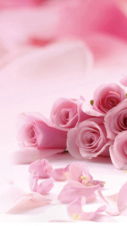 Pink Roses Flower Petals  Android Best Wallpaper