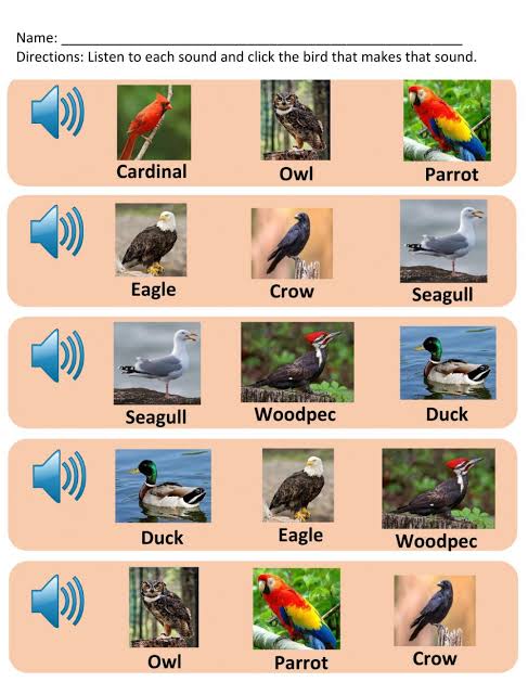Click on each bird picture to hear the amazing sound they make
