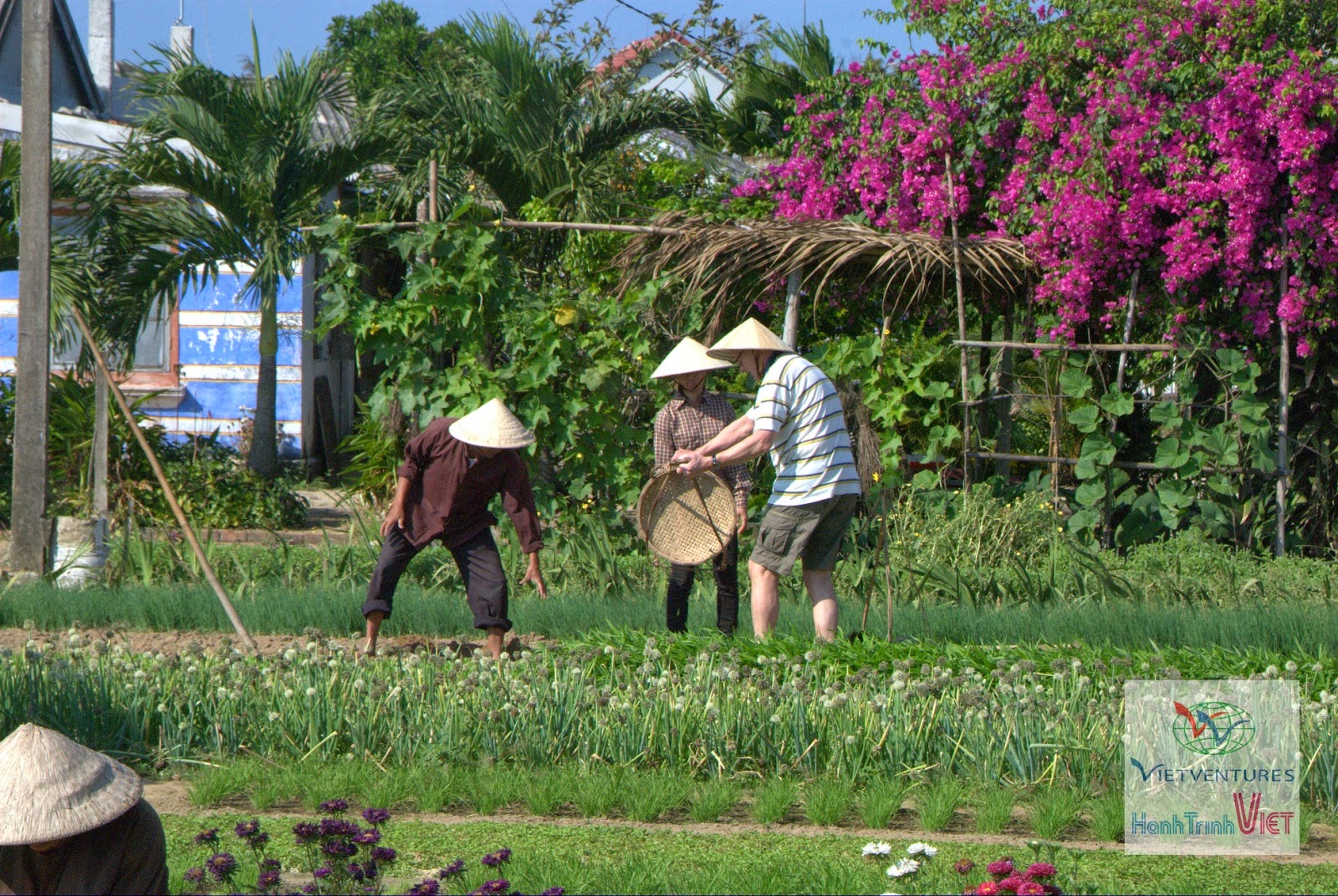 Trải nghiệm một ngày làm nông dân ở Hội An