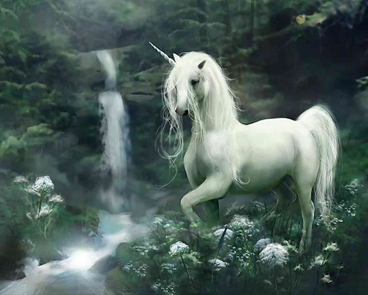 Stasya Doll: Unicorn Stasya Doll: Unicorn
