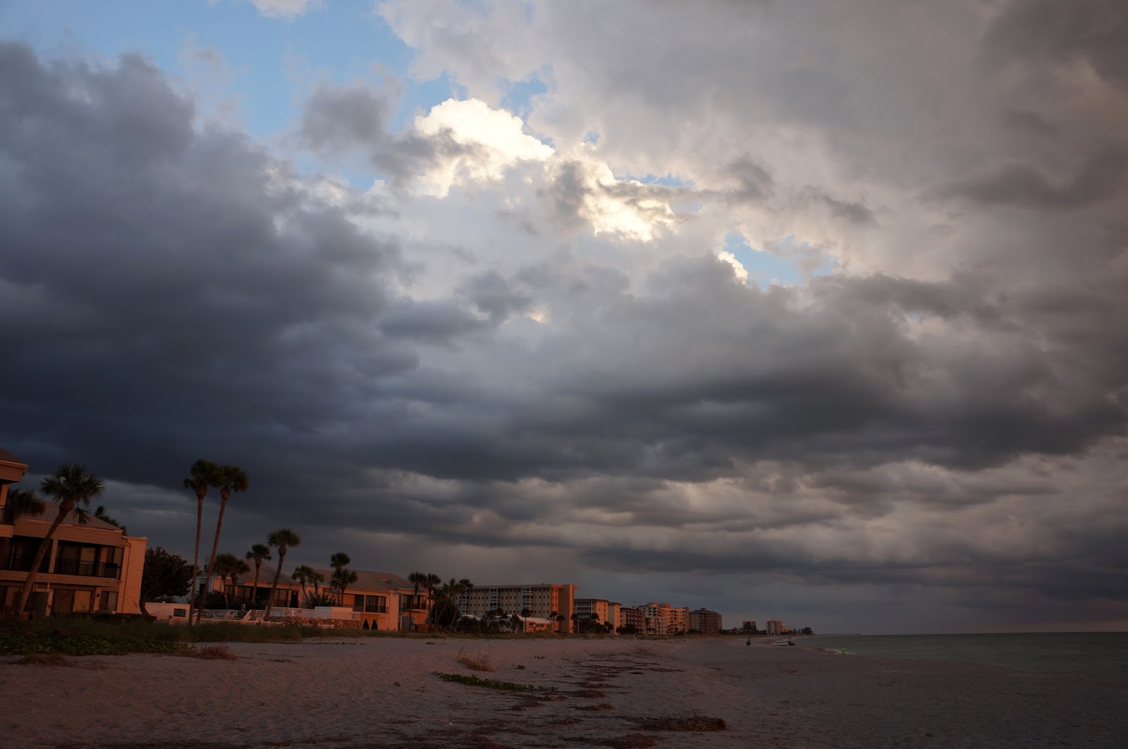 musings florida snow shovel