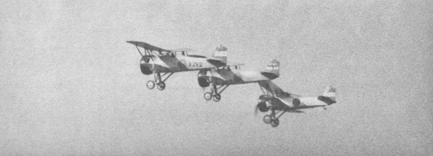 WildEagles Nakajima A4N