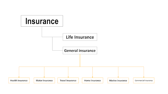 Type of insurance?
