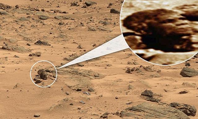 Bones and skulls that have been found on the red planet Mars