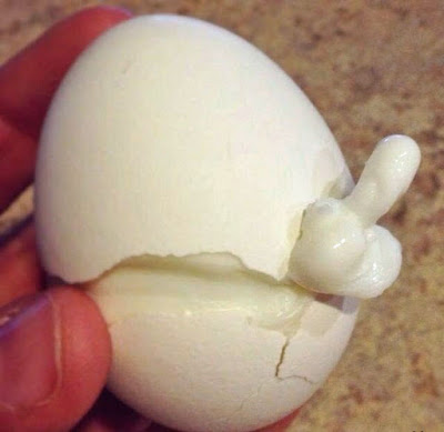 aufgeschlagene Eierschale - gekochtes Ei