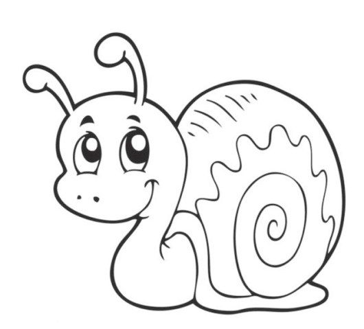 Top 10 snail coloring pages and activities for kids